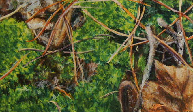 BASE OF THE TREES