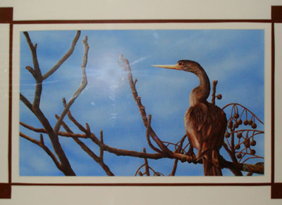 ANHINGA