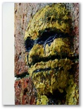 split face painting expressionism